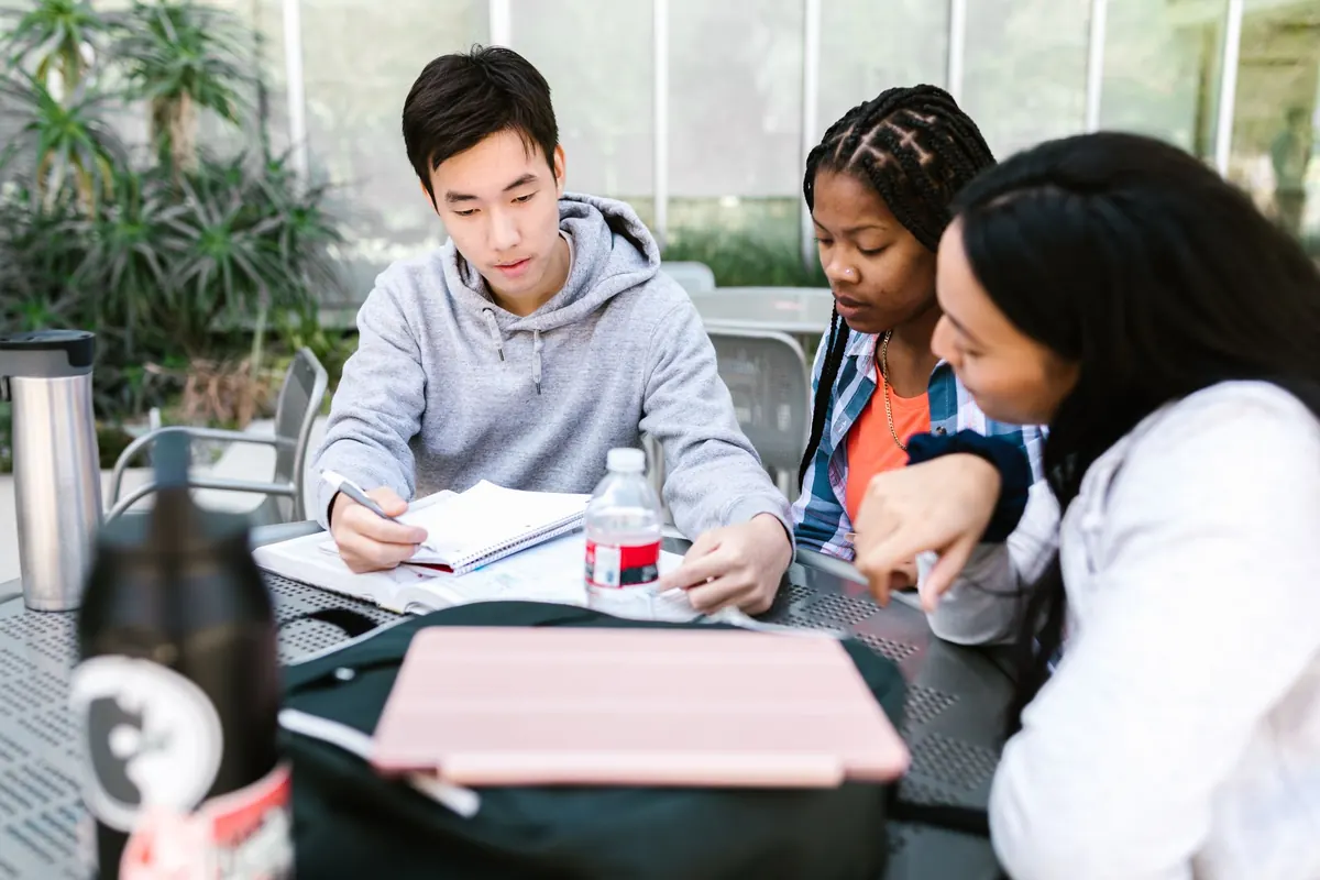 How to Start a University Essay Writing Group That Works